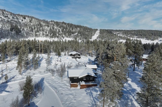 Aerial view of the cabin and surrounding mountains