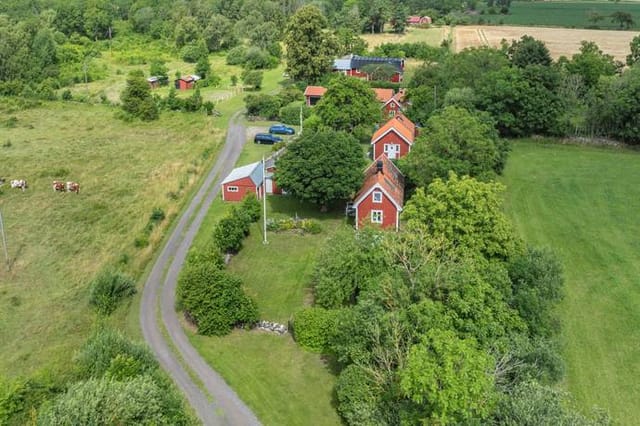 Front view of the red cottage and garden