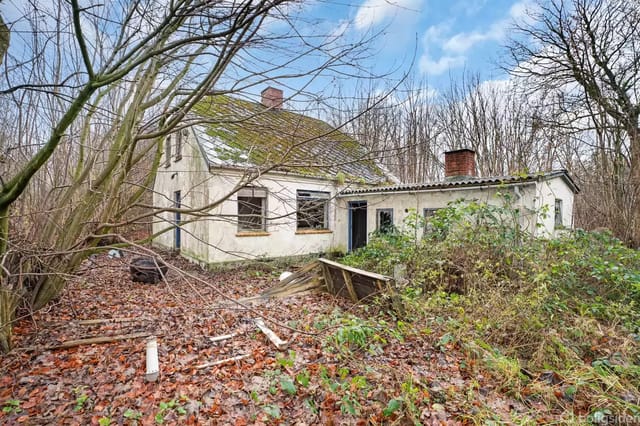 An old, abandoned house surrounded by overgrown bushes and bare trees.