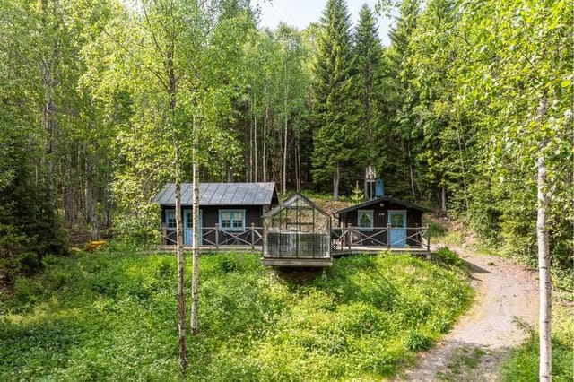 Main cabin and garden