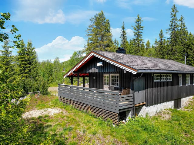 Front view of the cabin