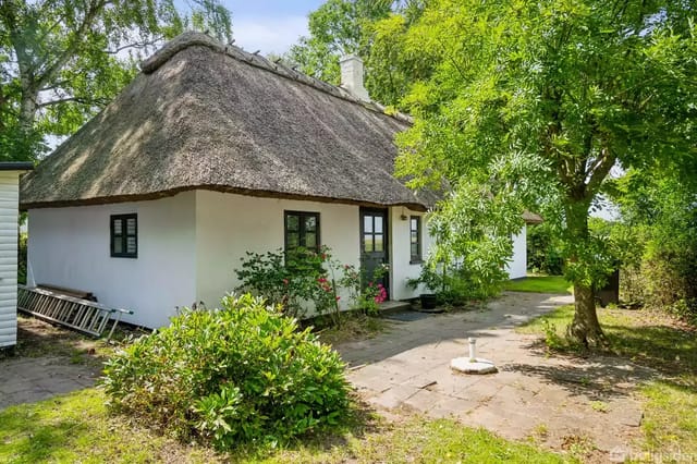 A white half-timbered thatched cottage stands peacefully among green bushes and trees. There is a stone path beside the house, and a wooden ladder leans against the wall.