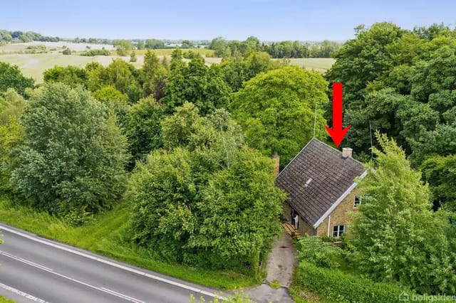 House surrounded by dense forest, partially hidden by trees, next to a road. A red arrow points down to the house's roof.