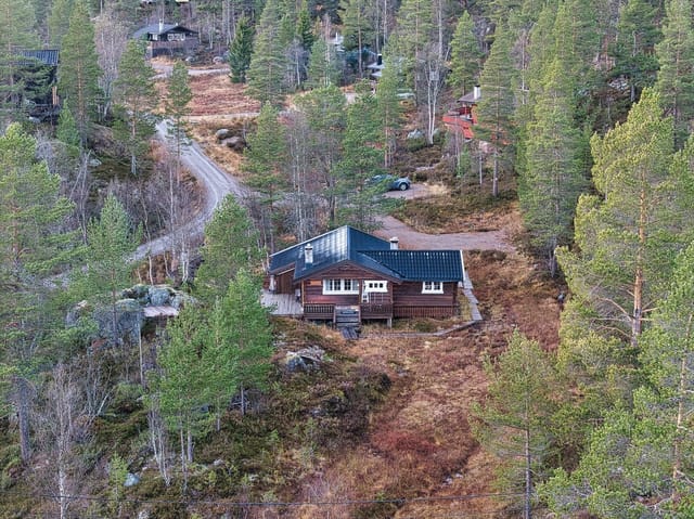 Aerial view of the cabin and surrounding nature
