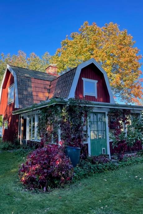 Front view of the cottage