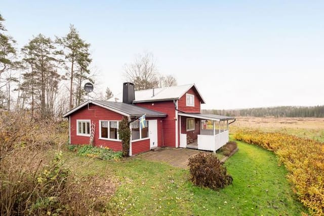 Front view of the house and garden