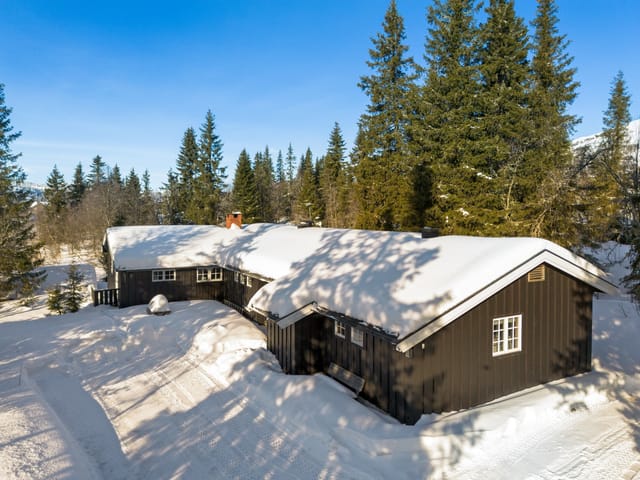 DNB Eiendom v/ Martin Sønsteli presents Skeisvegen 743!