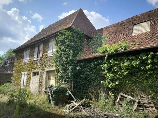 Picture 1