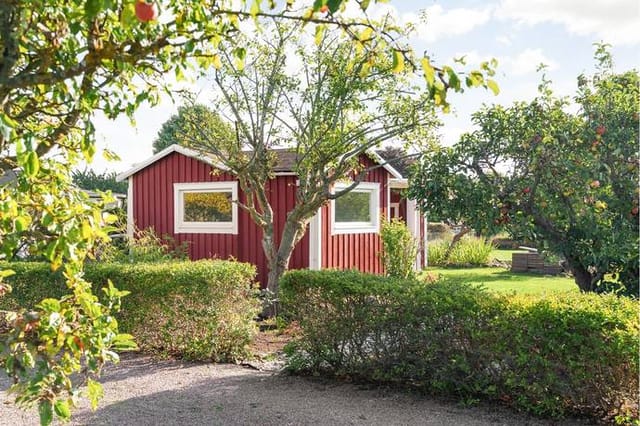 Front view of the cottage and garden