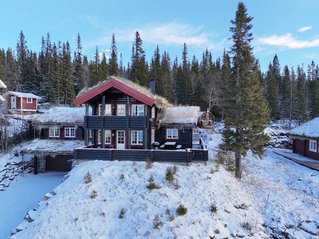 Exterior view of the log house with mountain backdrop