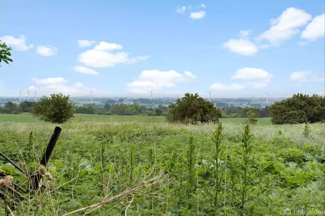 Green landscape with fields and bushes under a blue sky, wind turbines in the background