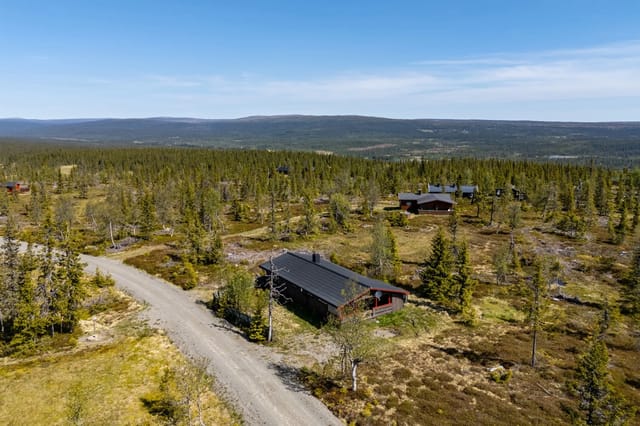 Drone photo