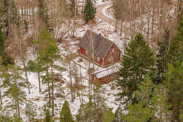 Front view of the house and garden