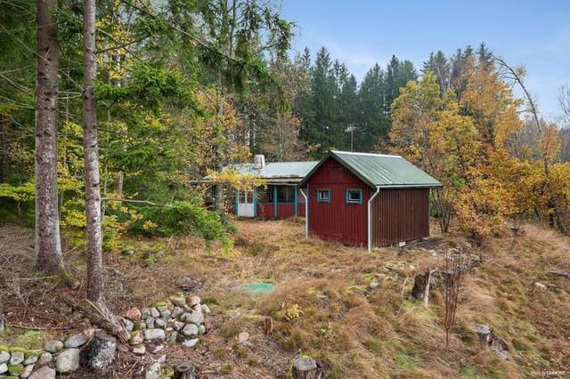 Main house and plot view