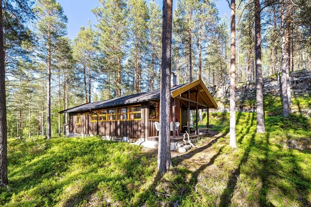 Charming forest cabin near Samsjøen