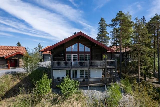 Exterior view of the log house