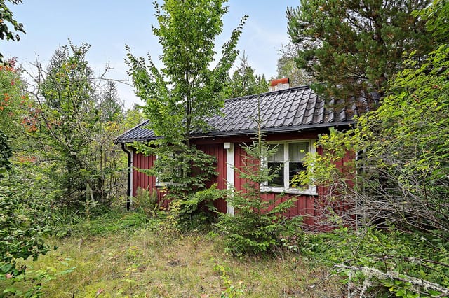 Exterior view of the cottage and plot