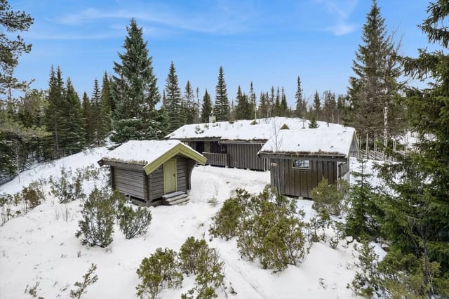 Cozy cabin with annex and uninsulated outbuilding