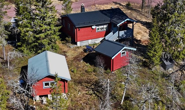 Exterior view of the house and garden