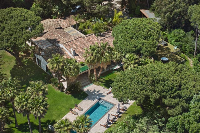 View of the villa from the garden