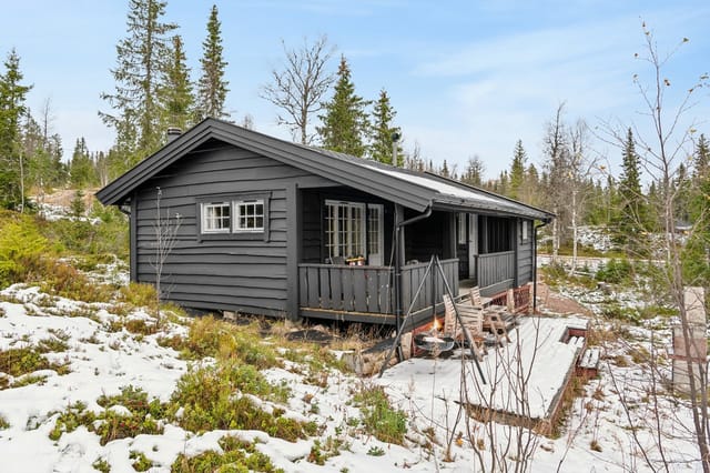 Welcome to Ryskdalen Hytteområde 95!