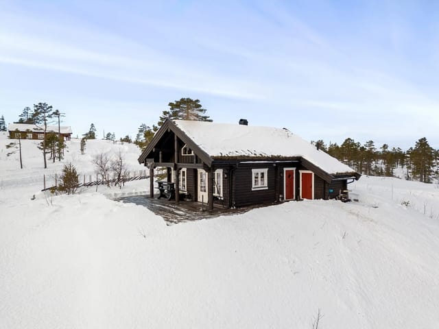 Welcome to Tonmyrhallen 29 - on the Flesberg side of Blefjell South!