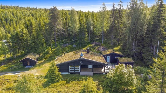 Welcome to Steinsjøvegen 79!