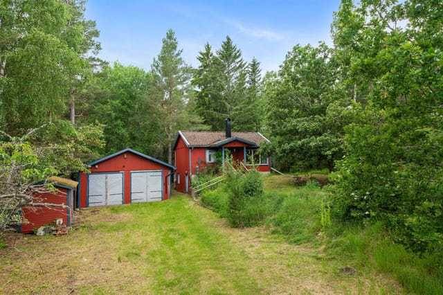 Exterior view of the house and garden