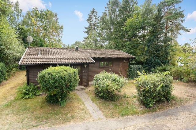 Exterior view of the house and garden