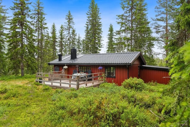 Welcome to Ljørdalsvegen 1529 in Trysil!