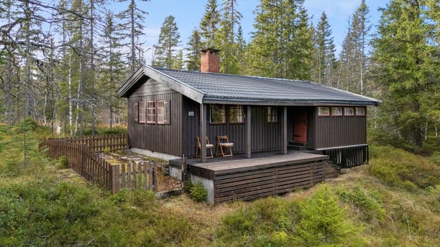 Cozy Drammen cabin by "Båtvika" Hersjøen