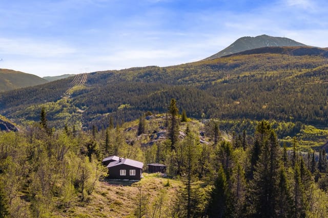 Welcome to Hjerdalen 70 – A cozy little cabin cluster where you can experience authentic Norwegian cabin life.