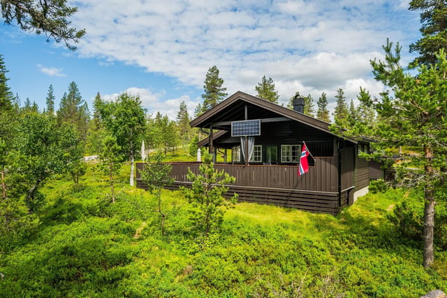 Welcome to Ringsakerfjellet and Hammarseterhøgda 117! Photo: Reidar Valberg.