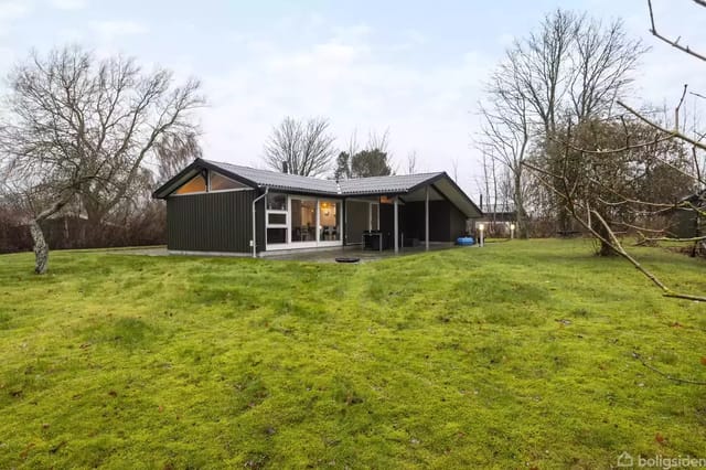 A black wooden house on a green lawn surrounded by bare trees. The house has large windows and a terrace area in front.