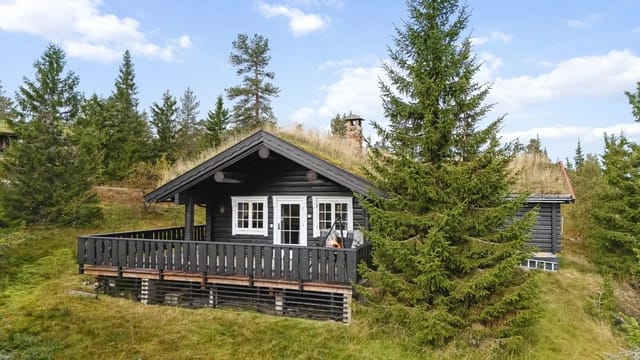 Cozy family cabin from 2004, all on one level.