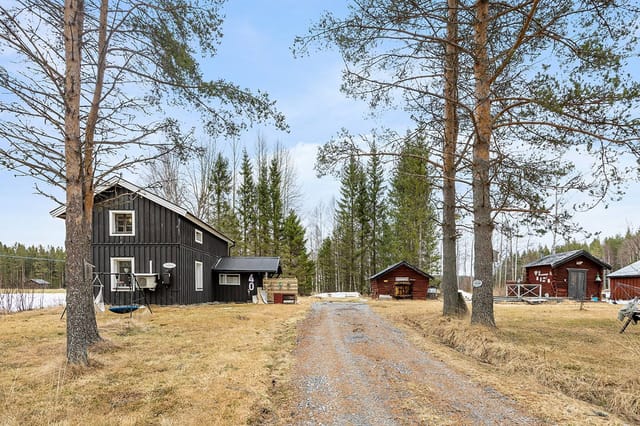 Front view of the house and garden