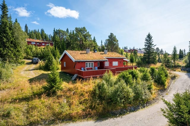 Front view of the cabin