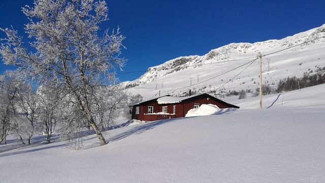 Mountain cabin exterior with panoramic views