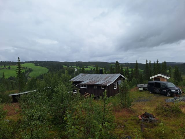 Picture 1