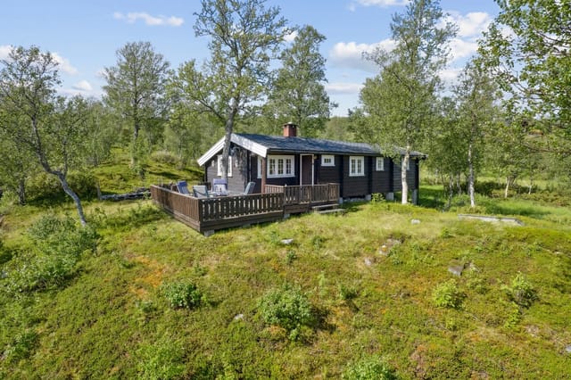 PrivatMegleren v/ Torstein Nordby presents Dalslivegen 133, a cozy cabin with a beautiful location in Stugudal.