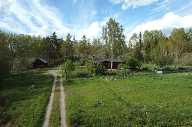 Front view of the house and garden