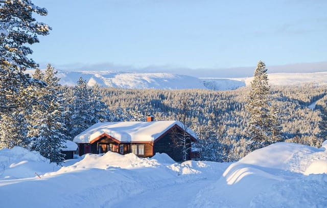 Exterior view of Fulufjällsbyn 2