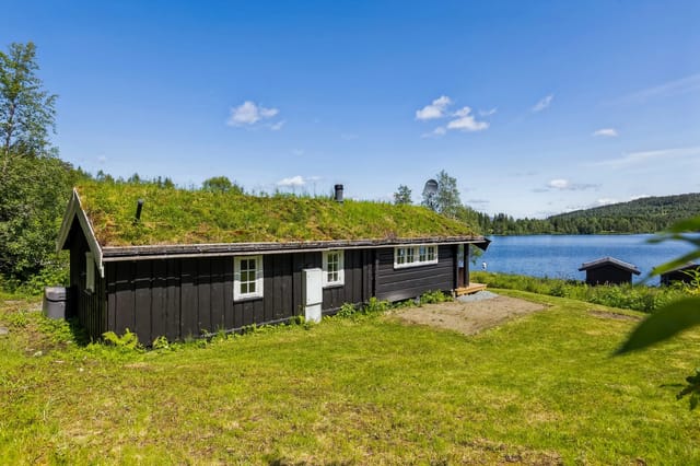 Welcome to Rørvassvegen 233!