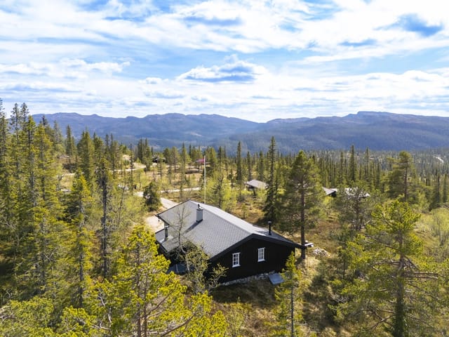 Welcome to Toskardfjellveien 391!