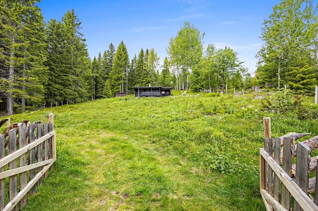 Welcome to Trollilavegen 112! A cozy holiday cabin with a secluded location in the forest.