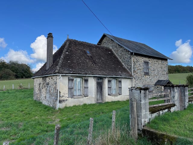 Picture 1