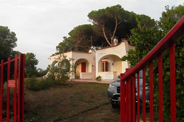 View of the villa from the garden