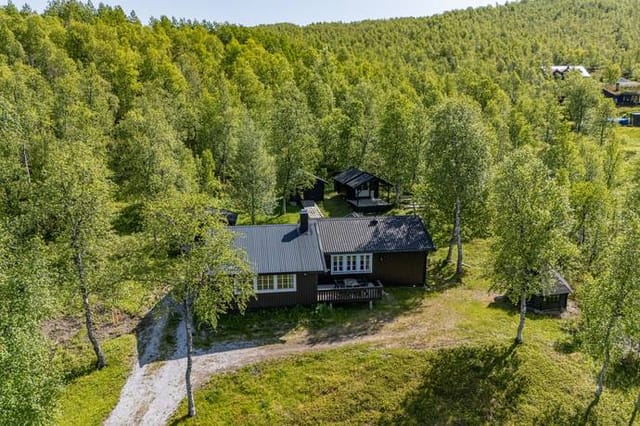 Exterior view of the house and surrounding landscape