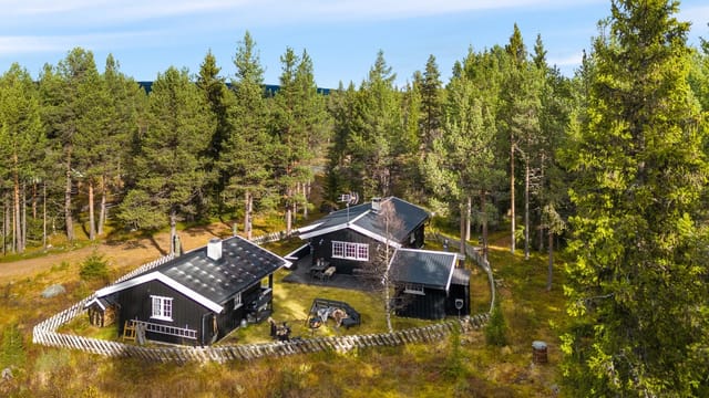 Charming cabin compound in Tisleidalen