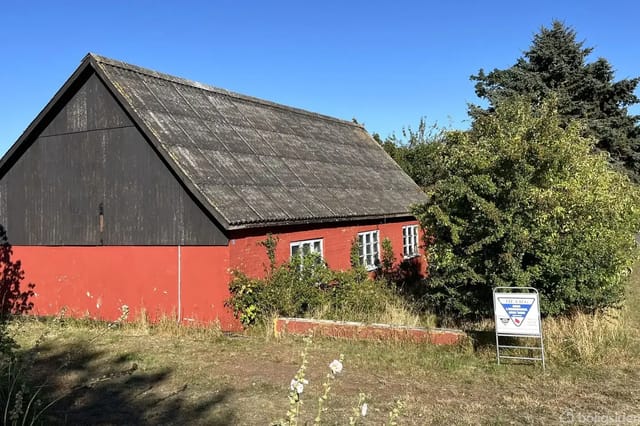 Red house with overgrown grass, 'For Sale' sign, surrounded by trees and blue sky.